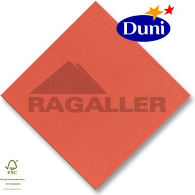 Dunilin-Servietten 40x40cm 1-lagig 1/4 Falz Cozy Winter - D209950