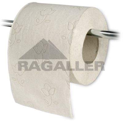 Toilettenpapier 2-lagig 250 Blatt "Standard" eco natur - Bild 1 von 4