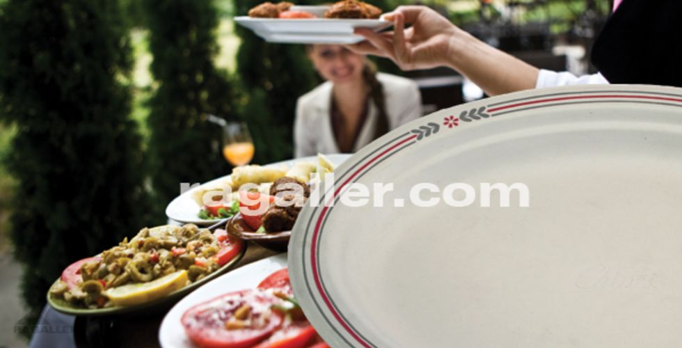 Produktbild Chinet-Schalen und -Teller (Holzguß)